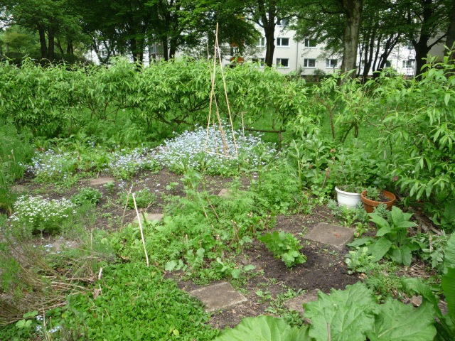 das Rundbeet, ein urban gardening Projekt in Kiel